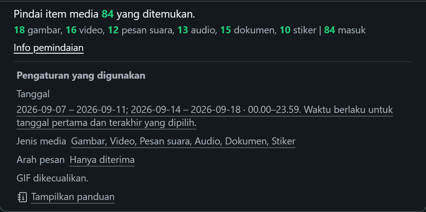 WhatsSnap Satu chat — Info pemindaian menampilkan jumlah media dan tanggal, media, dan filter arah yang digunakan