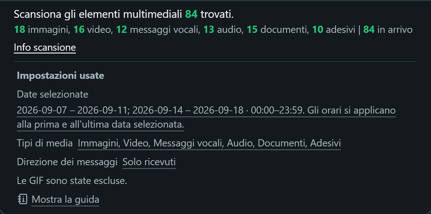 WhatsSnap Chat singola — Info scansione che mostra i conteggi dei media e i filtri di data, media e direzione utilizzati